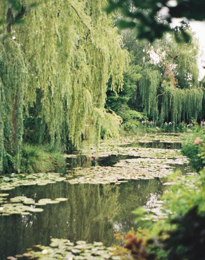 Claude Monet - foto