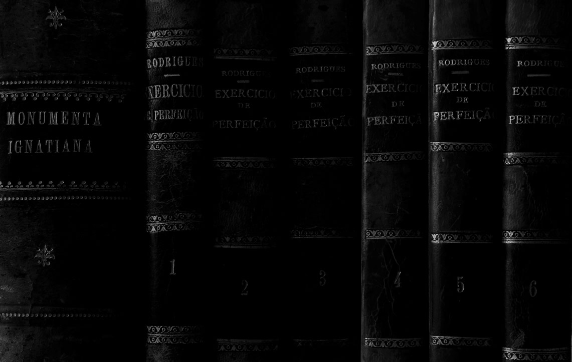 Il romanzo gotico - foto 1