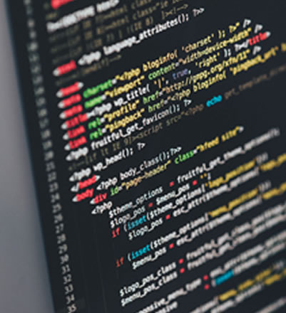 Da un errore informatico alle installazioni multimediali - foto 3
