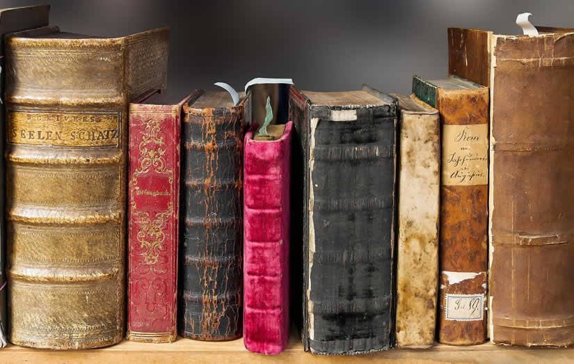 Libri: mai più odore di muffa online - foto