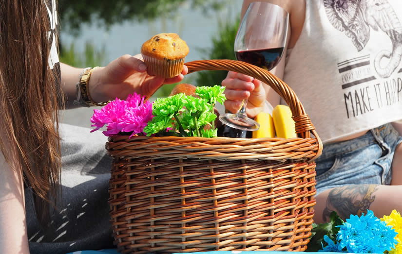 Vivere in un cestino da picnic - foto